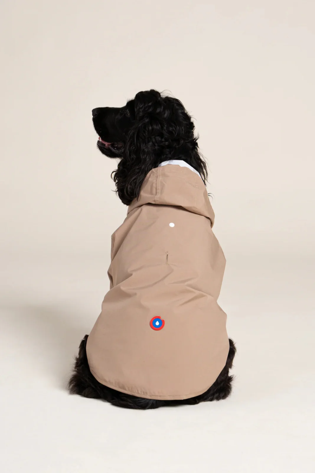 Boulogne - Imperméable pour chien - Image 10