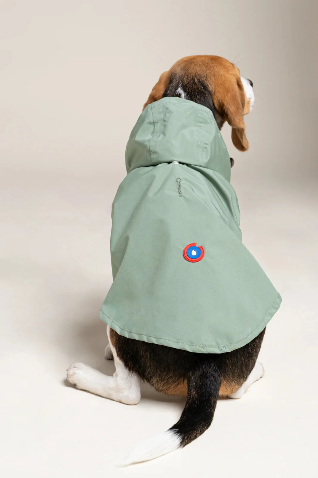 Boulogne - Imperméable pour chien - Image 15