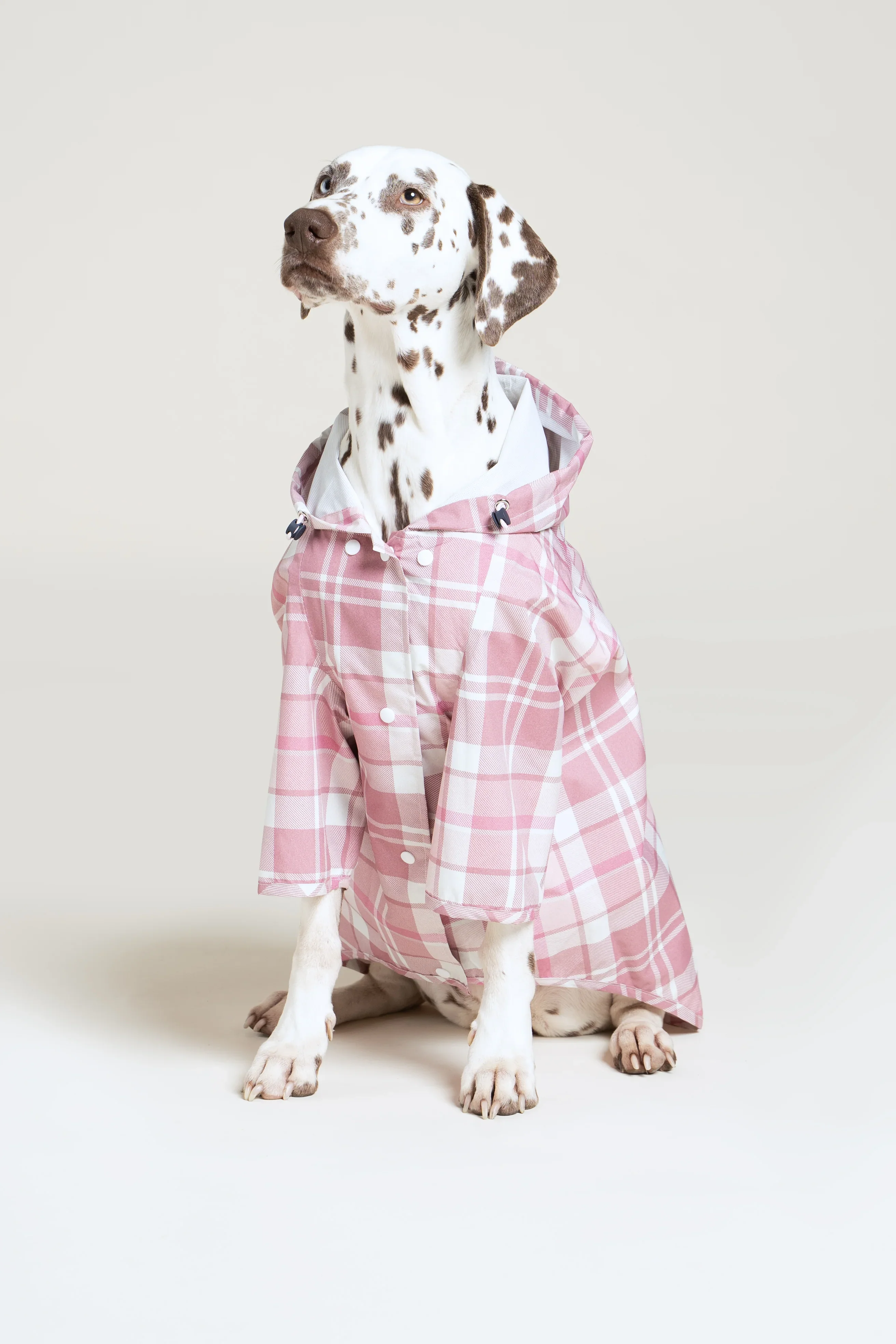 Boulogne - Imperméable pour chien - Image 19
