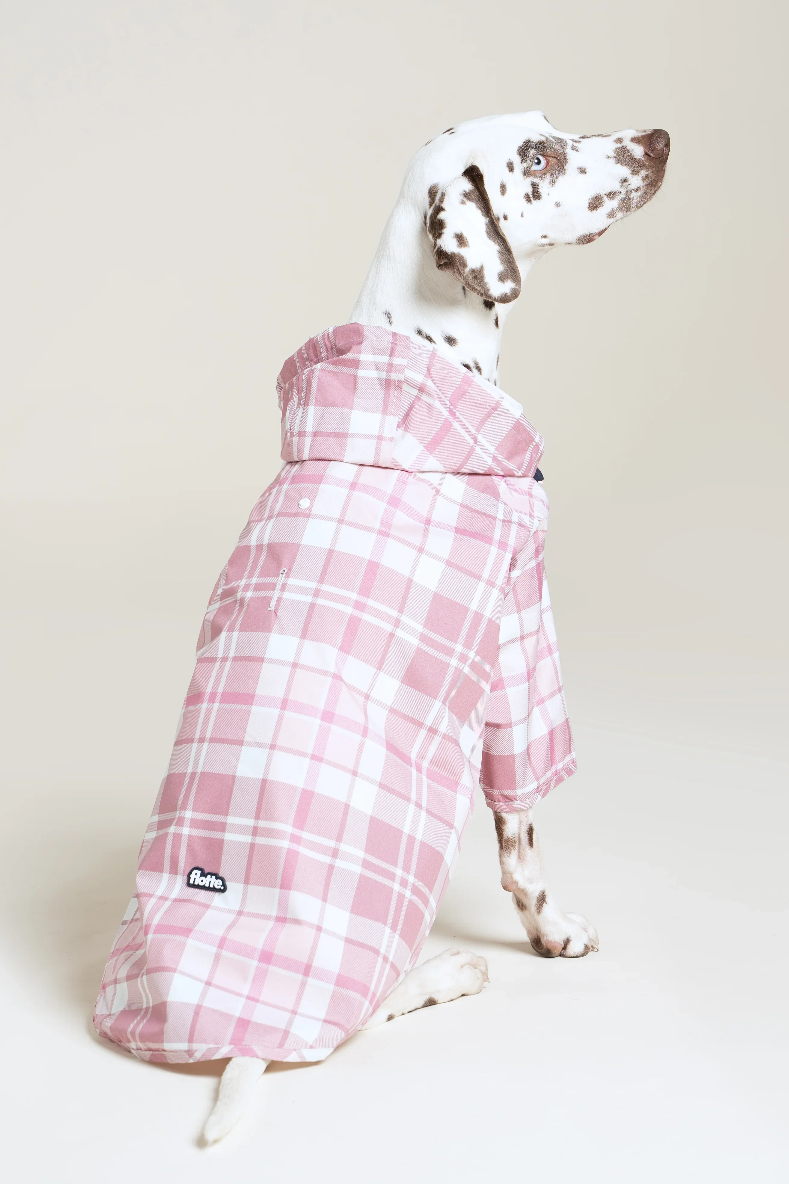 Boulogne - Imperméable pour chien - Image 20