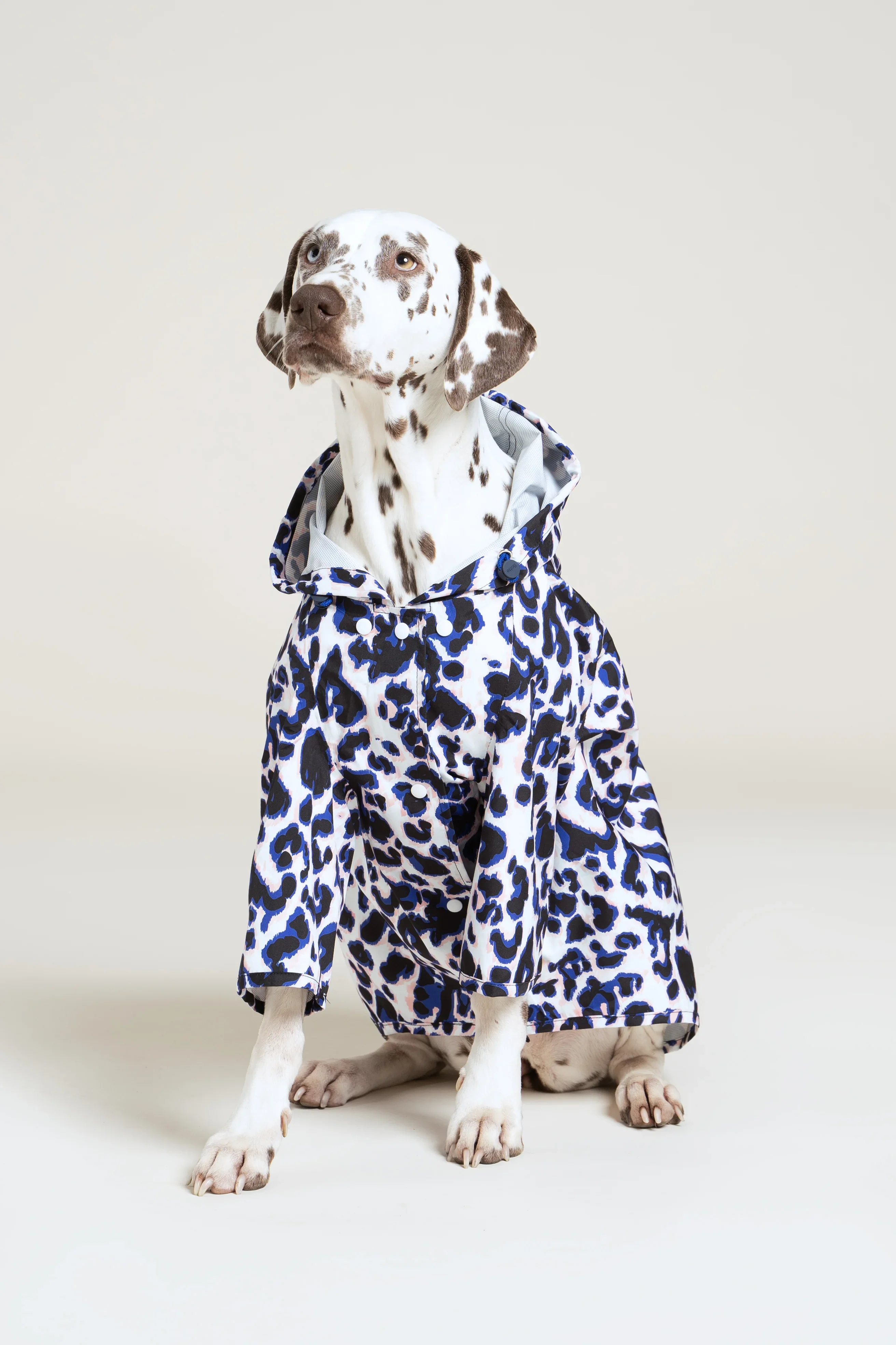 Boulogne - Imperméable pour chien - Image 21