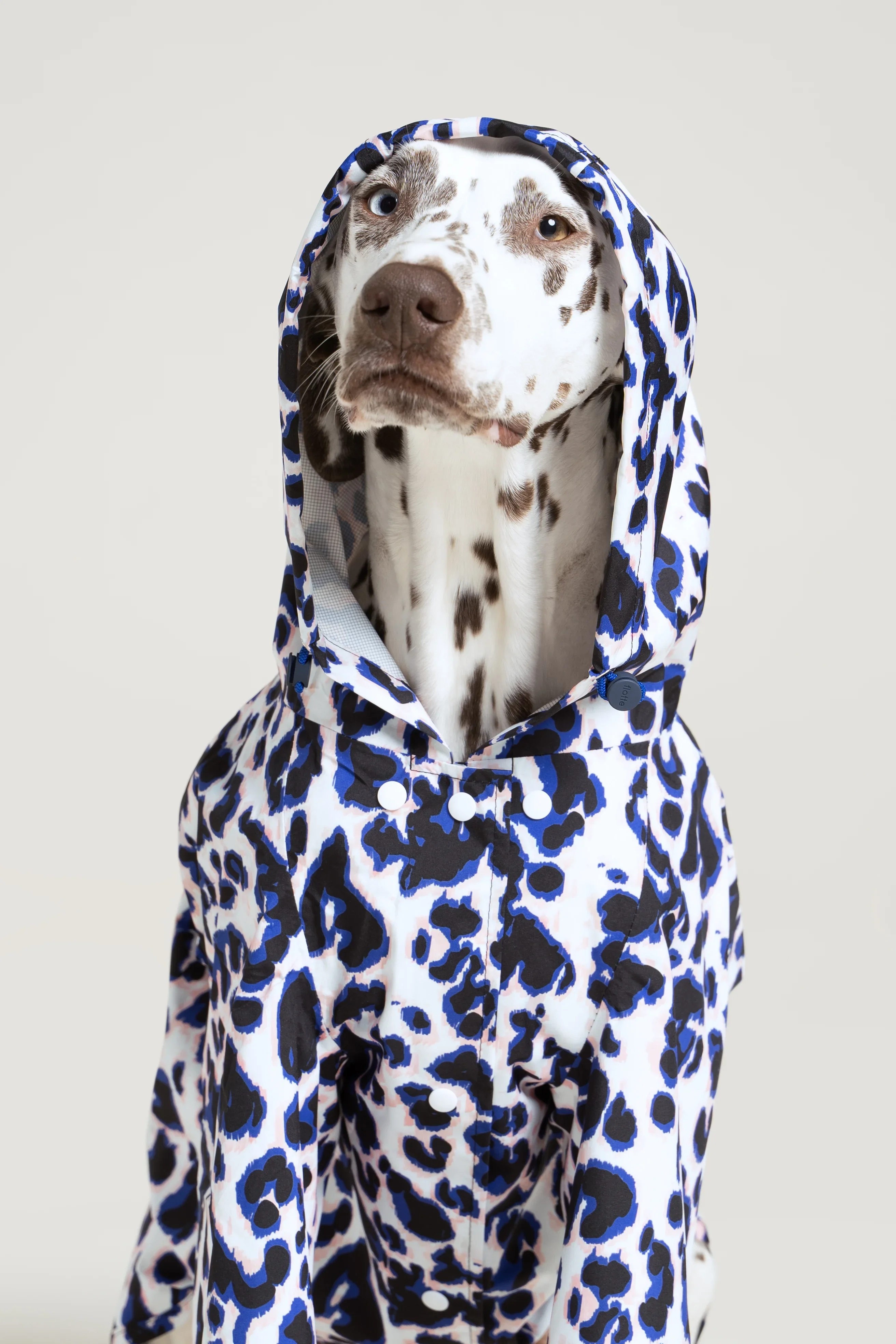 Boulogne - Imperméable pour chien - Image 23