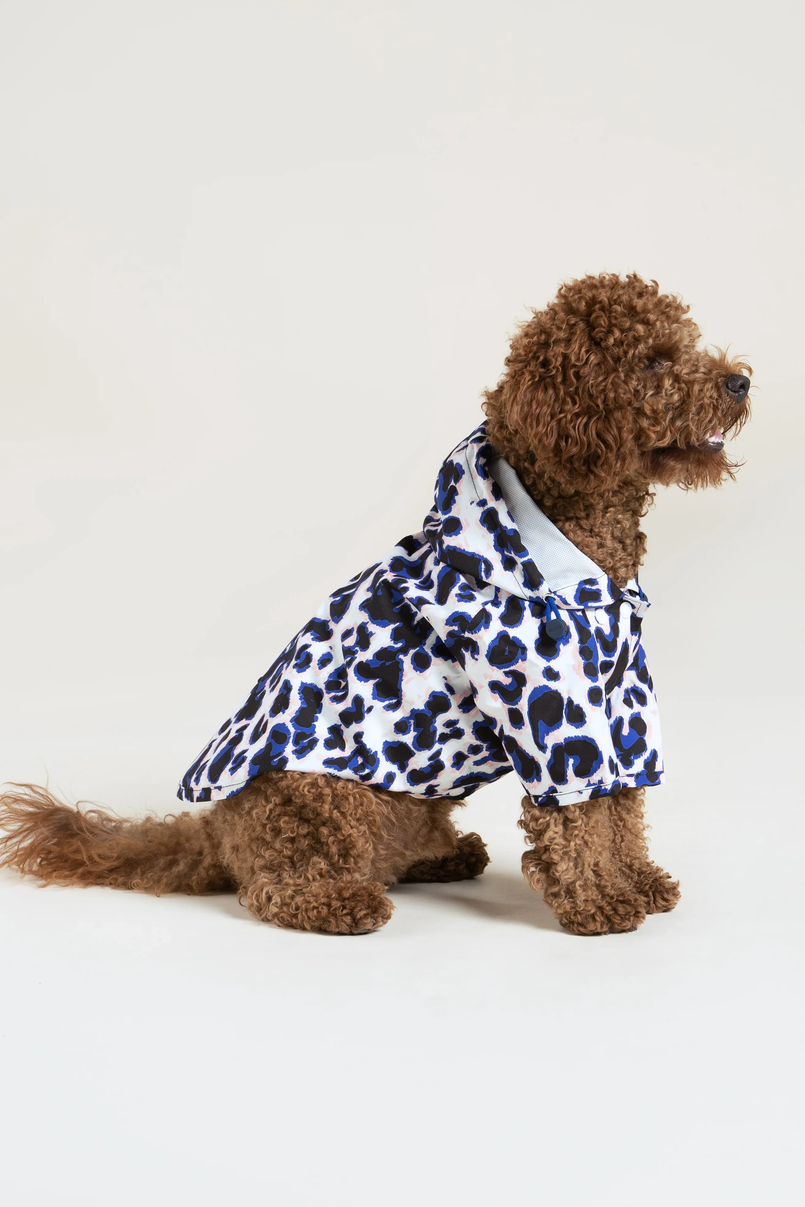 Boulogne - Imperméable pour chien - Image 24