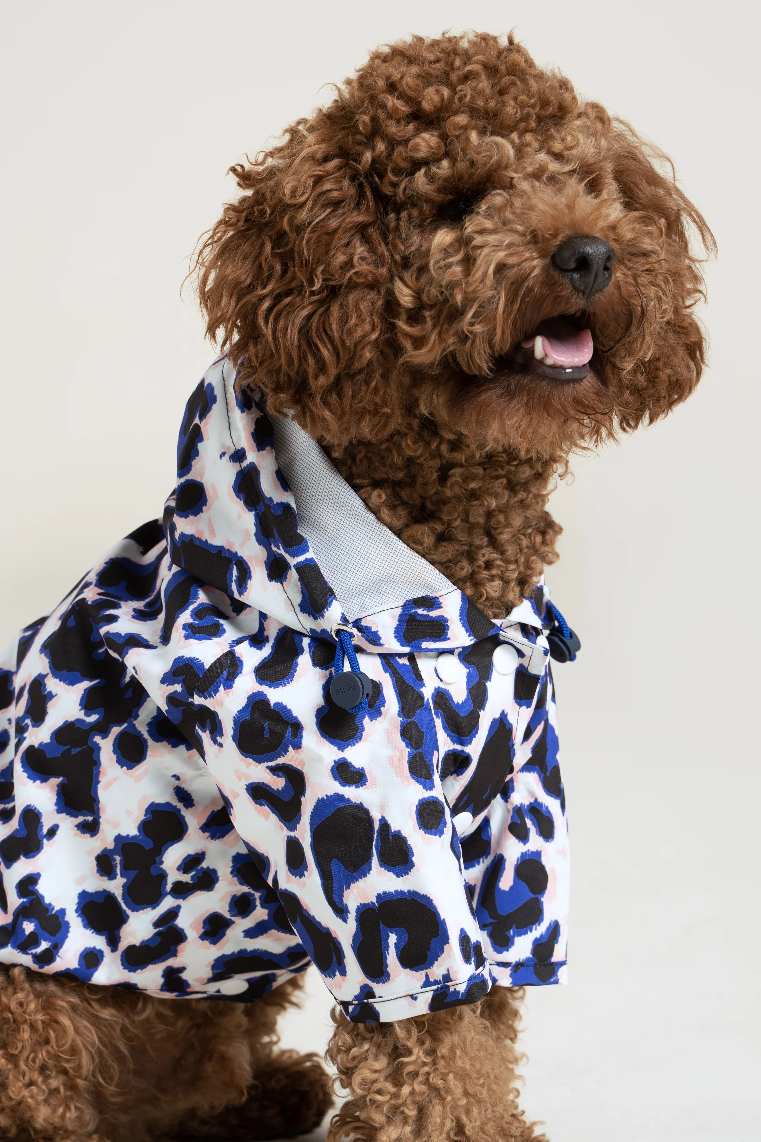 Boulogne - Imperméable pour chien - Image 25
