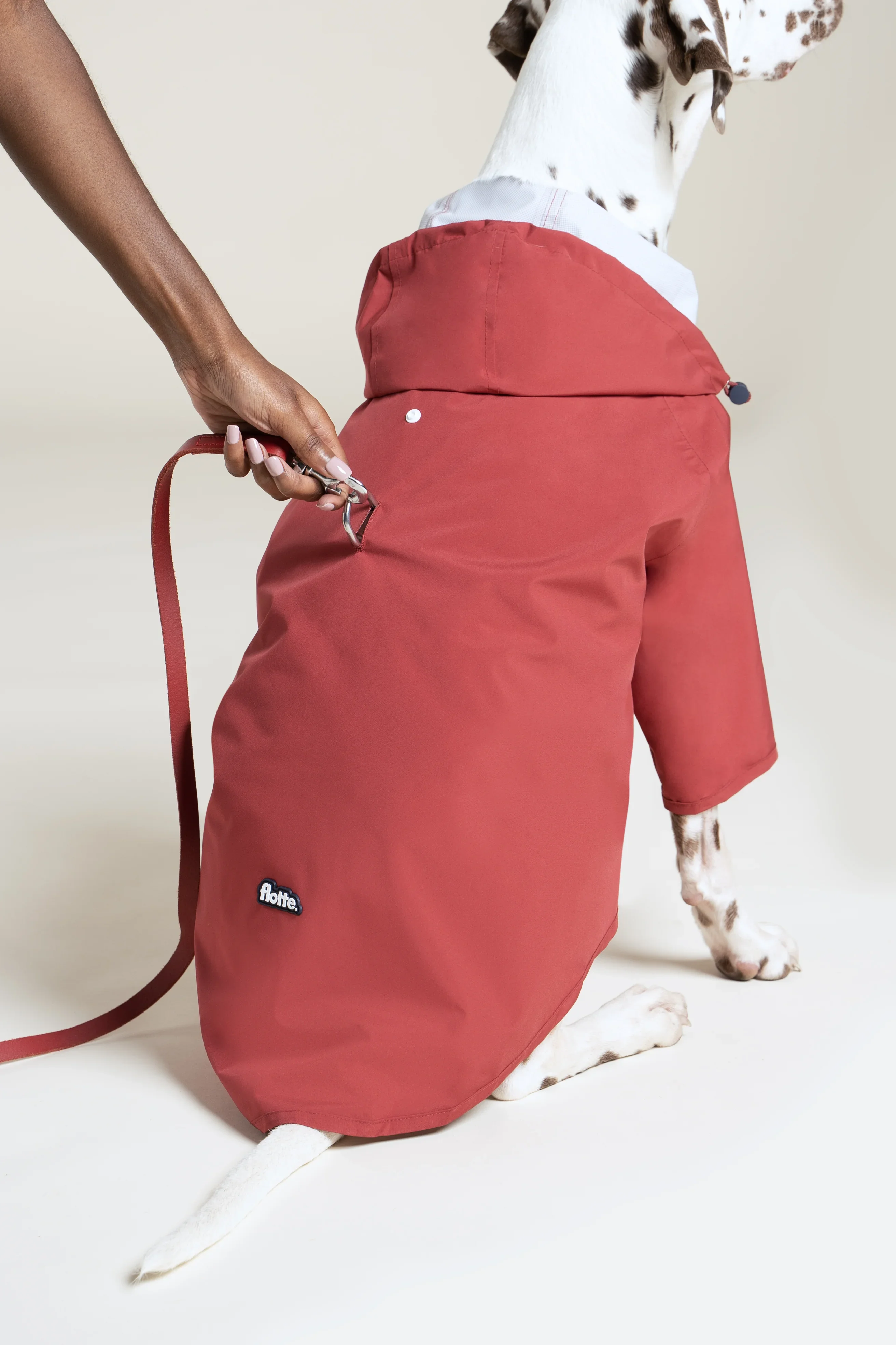 Boulogne - Imperméable pour chien - Image 27