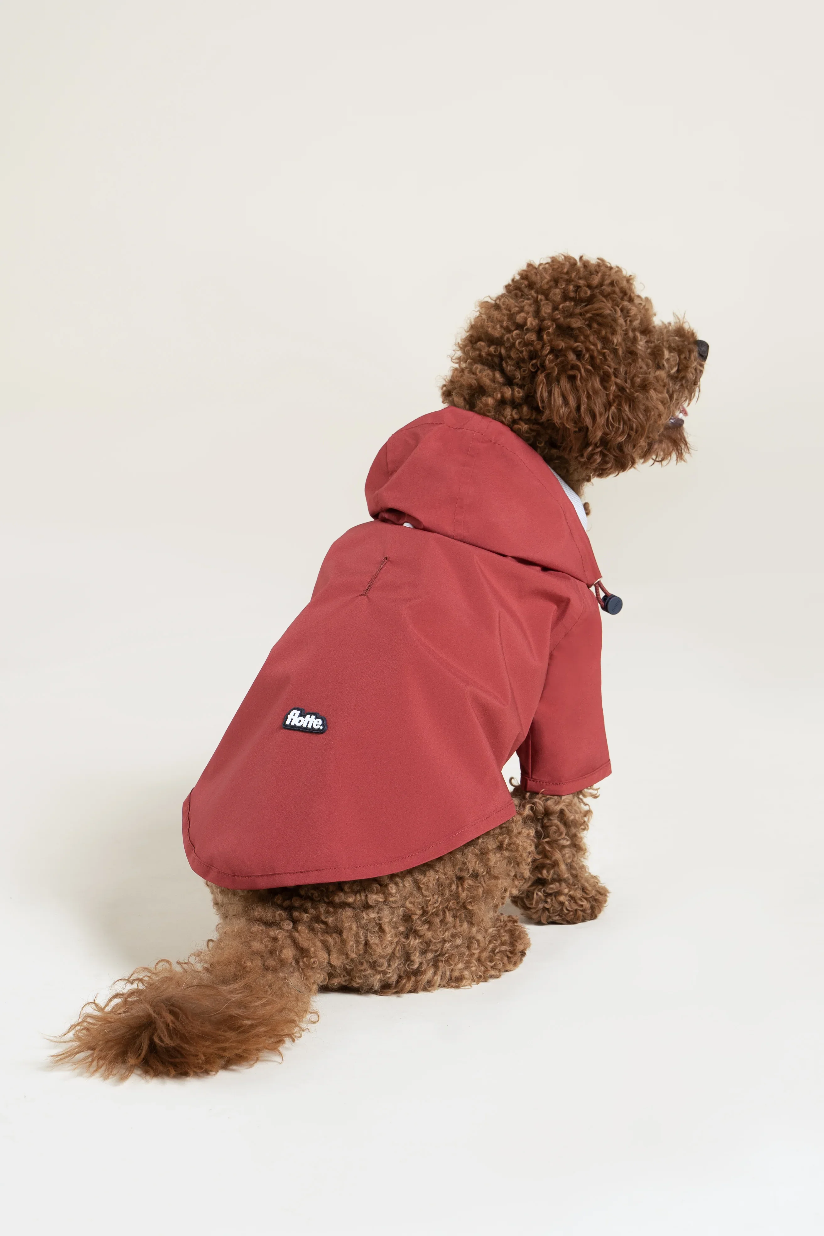 Boulogne - Imperméable pour chien - Image 30