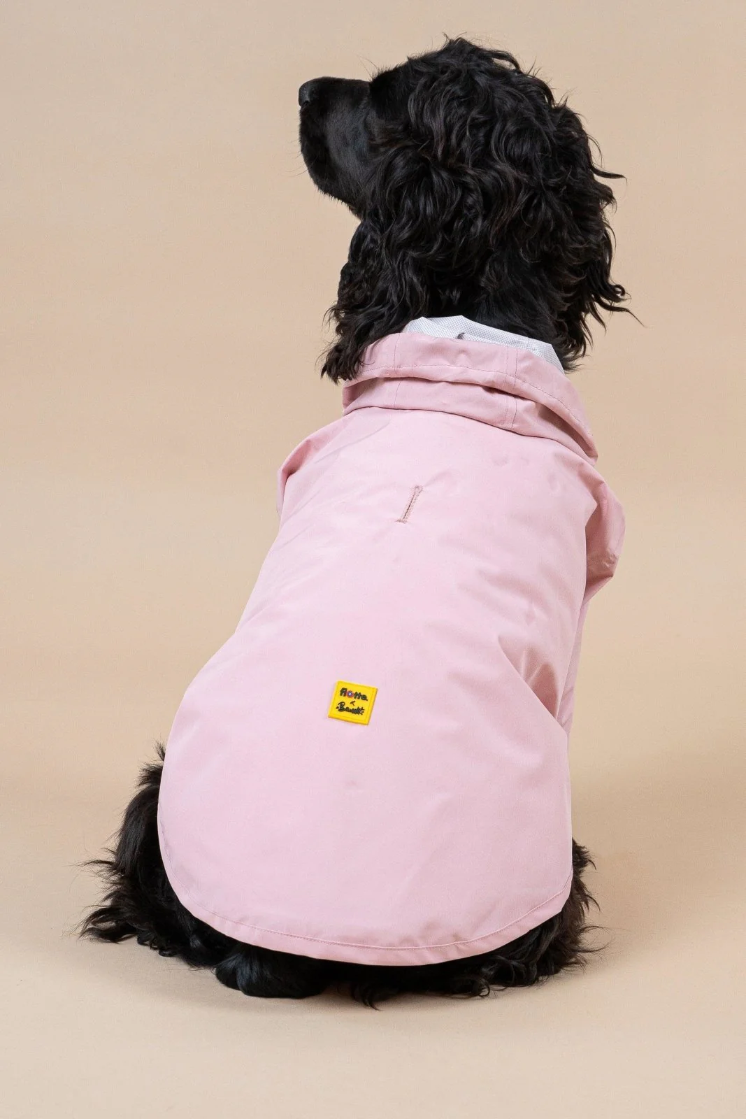Boulogne - Imperméable pour chien - Image 37