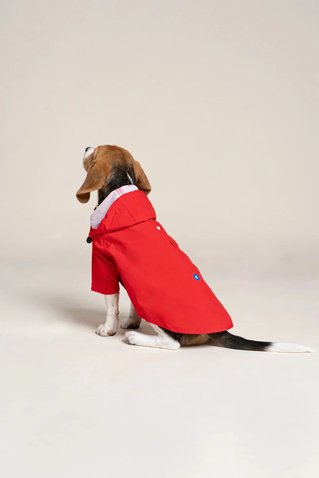 Boulogne - Imperméable pour chien - Image 7