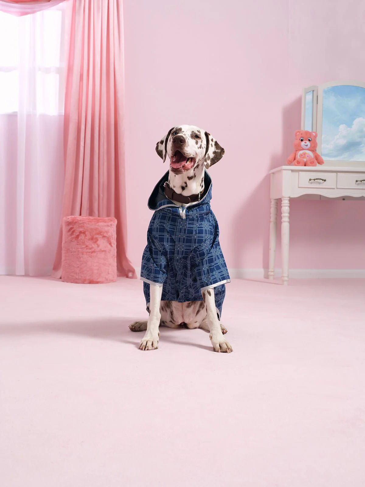 Boulogne - Imperméable pour chien Bisounours - Image 3