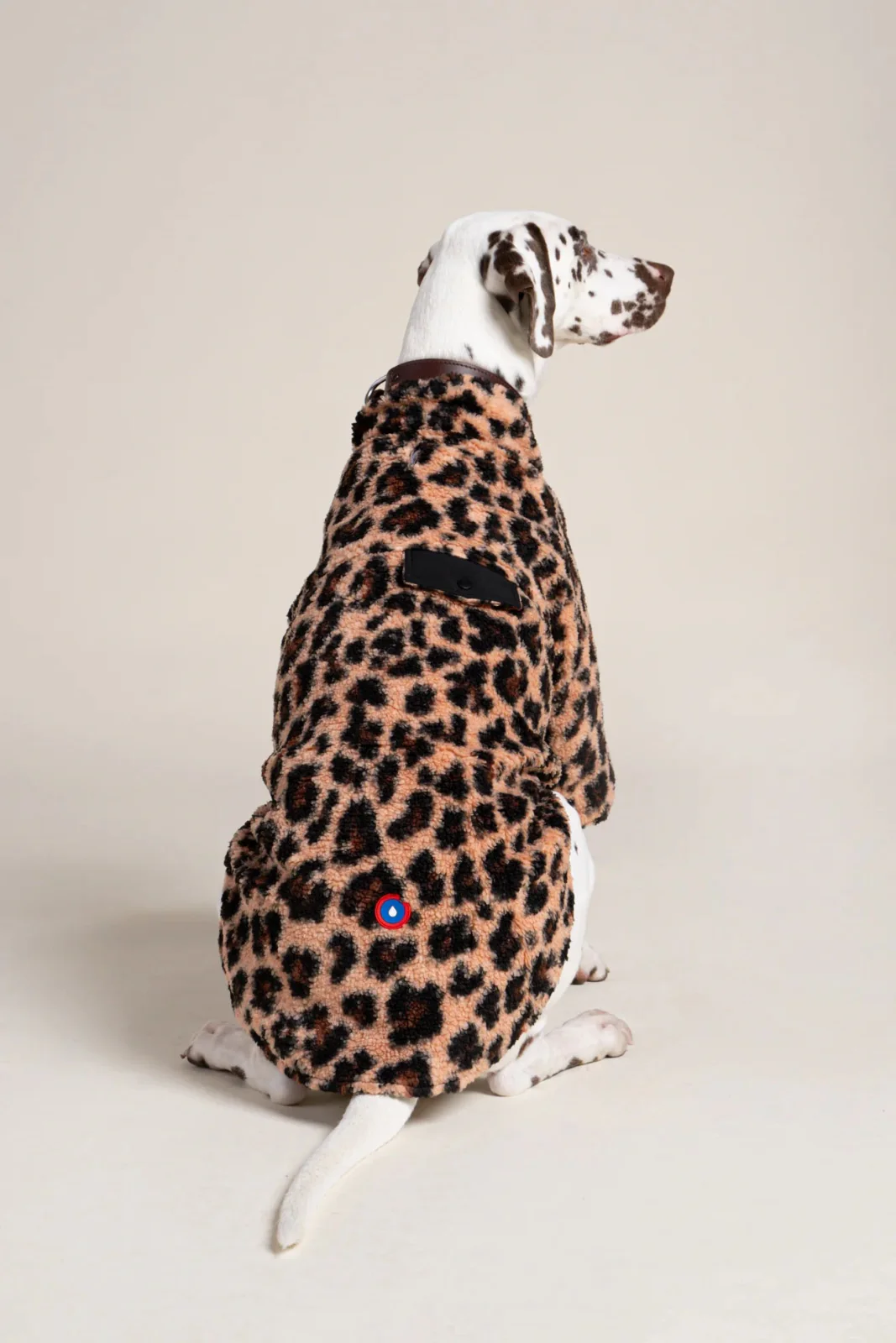 Charlot - Gilet polaire pour chien - Image 10