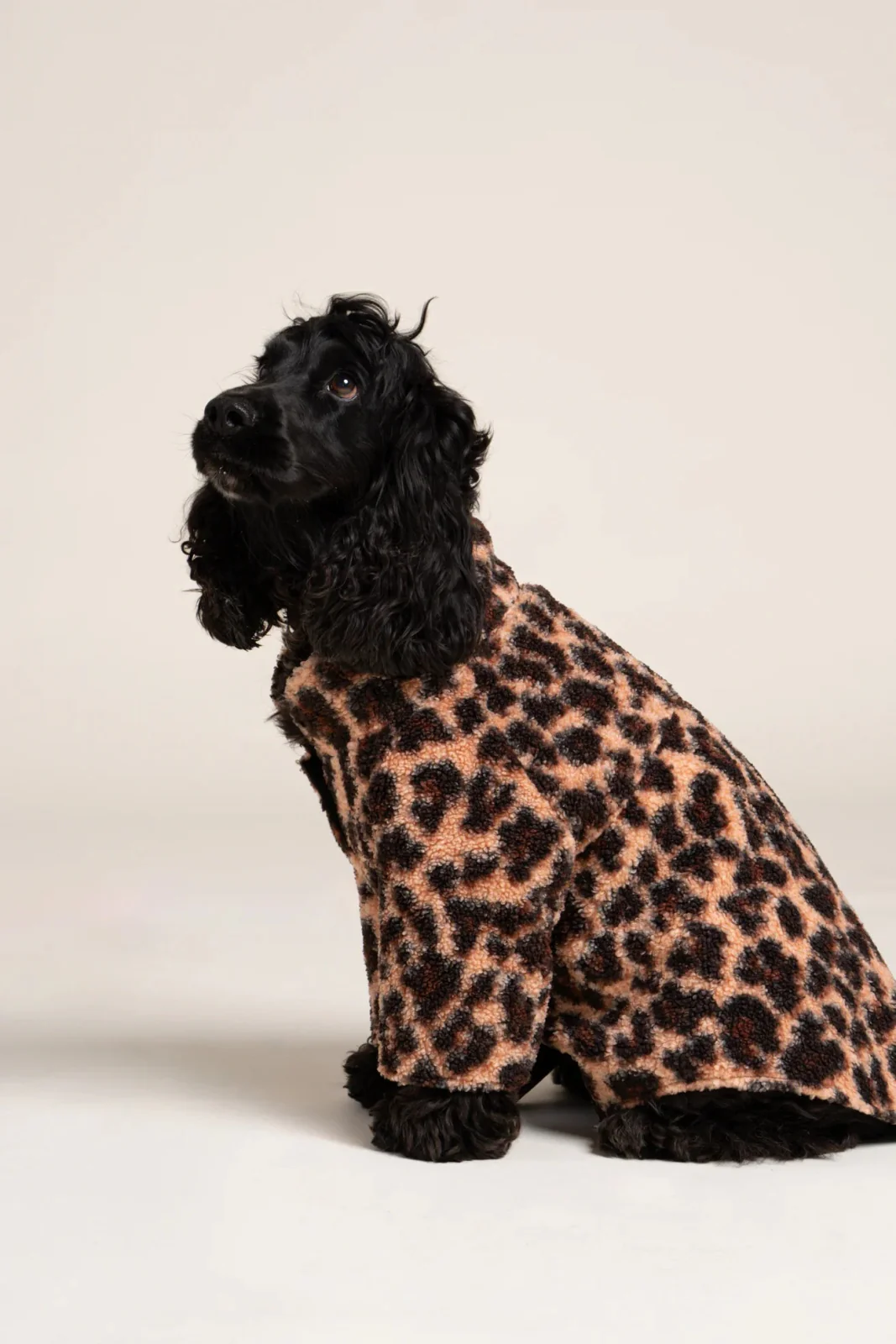 Charlot - Gilet polaire pour chien - Image 11