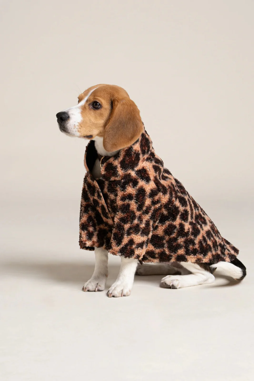 Charlot - Gilet polaire pour chien - Image 4