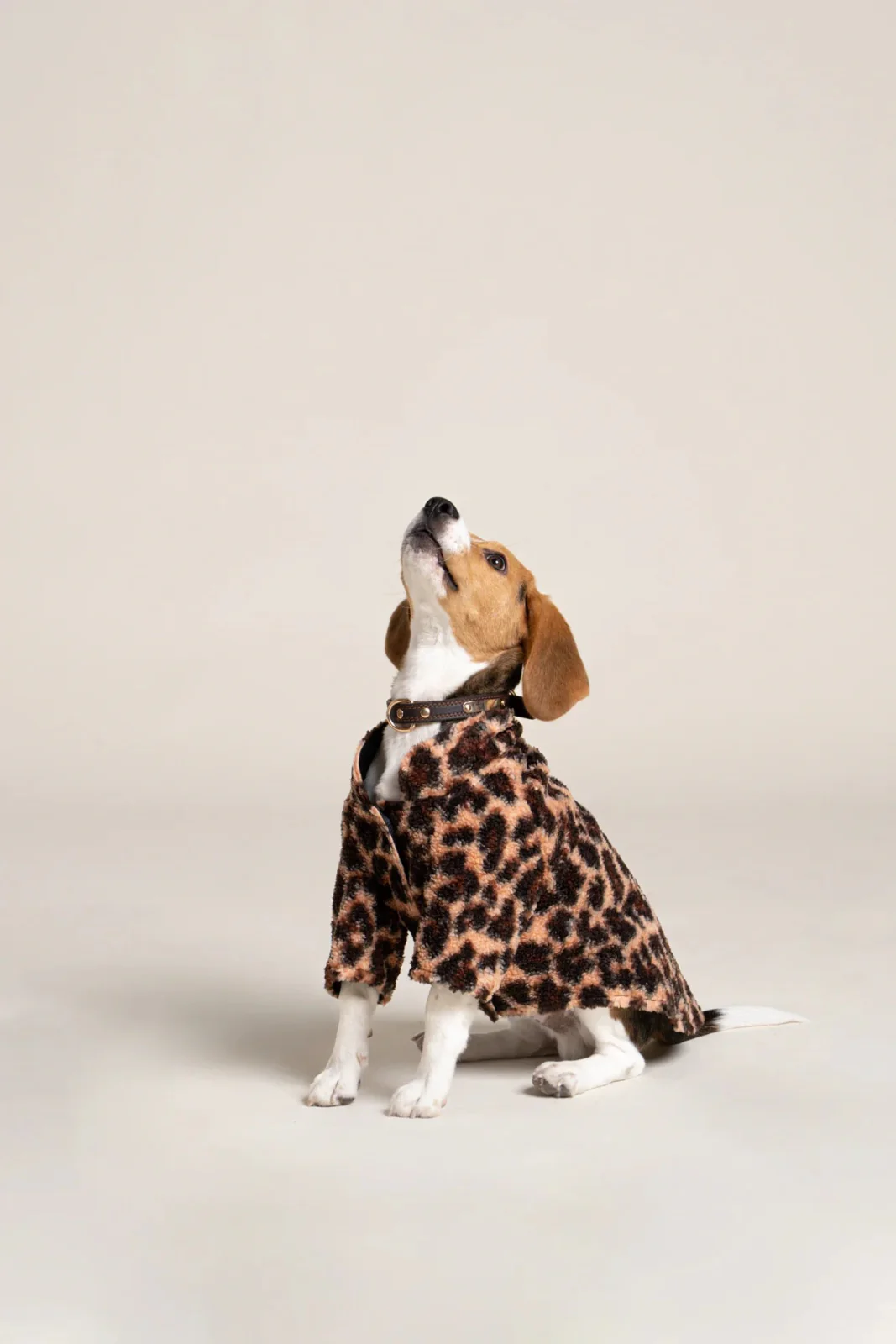 Charlot - Gilet polaire pour chien - Image 7