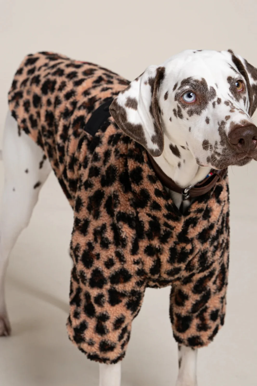 Charlot - Gilet polaire pour chien - Image 8