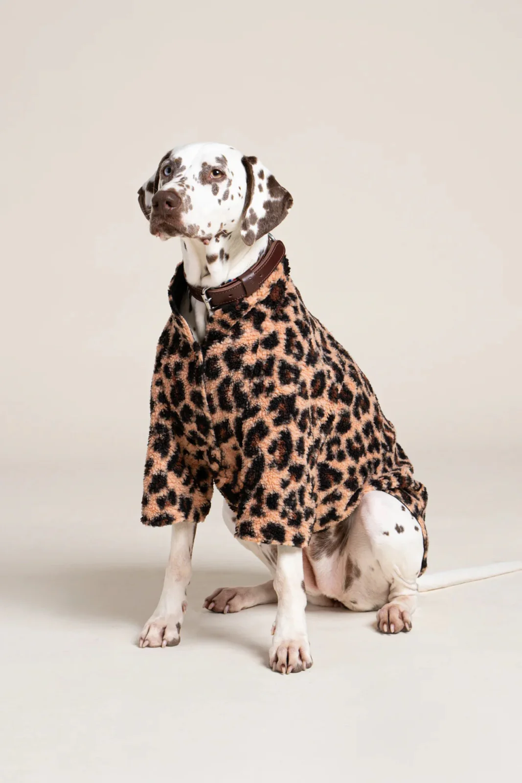 Charlot - Gilet polaire pour chien - Image 9
