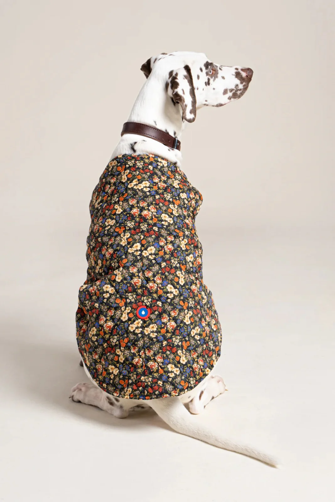 Vincennes - Doudoune pour chien - Image 9